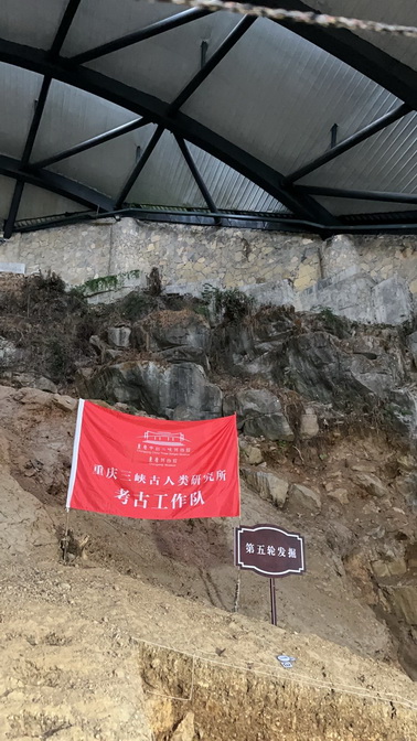 1708414997313038718.jpg 龙骨坡遗址发掘现场.jpg