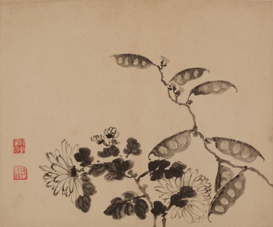 蒋廷锡花果蔬菜 册_重庆中国三峡博物馆